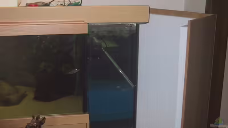 Der Biofilter von Jan Kadletz (5)