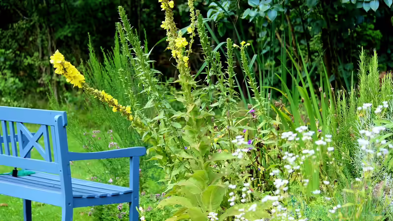 Der Blick auf den Teich: Frühjahrs-Check der Lieblingsplätze