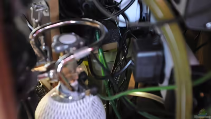 Der Blick durch die Öffnung an der hinteren Ecke - trotz der Menge an Technik: flüsterleise von Peter Vlasaty (26)