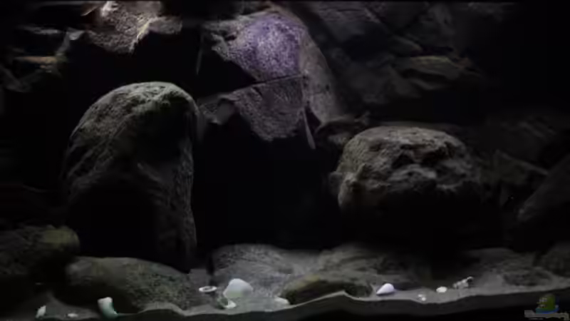 Der Blick im Tropentag nach rechts, der Boden ist nun komplett mit Modulen ausgelegt, von Florian Bandhauer (11)