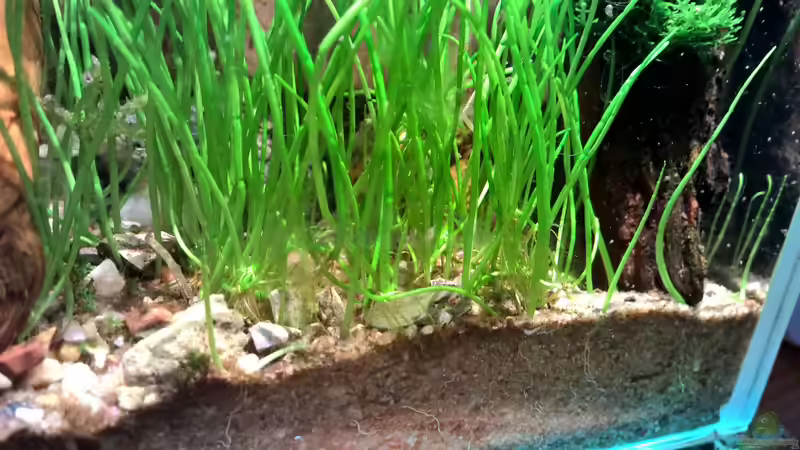 der Boden von Martin L. (10)