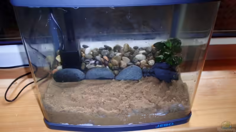 Der Bodengrund von Der Engländer (6)