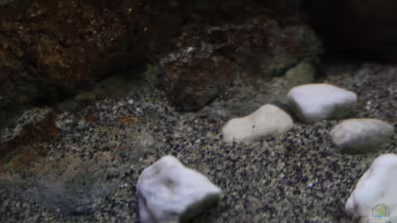 Der Bodengrund von Florian Bandhauer (48)