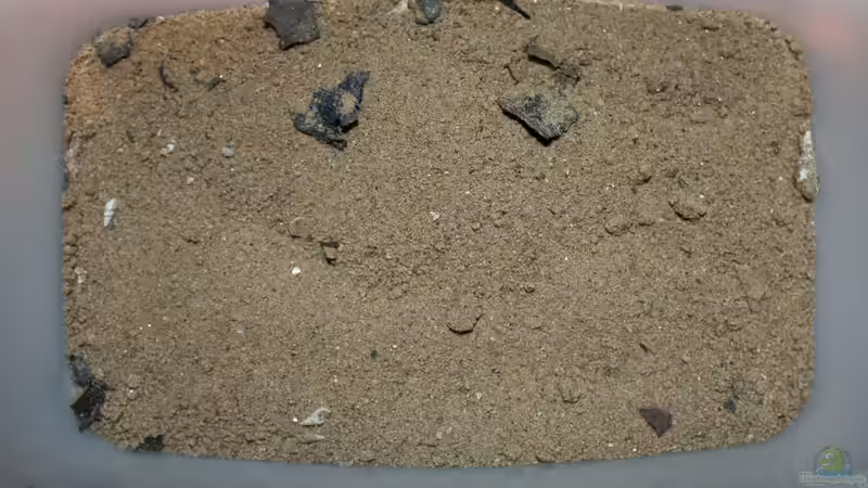 Der Bodengrund von Kawanga Rocks - Original Probe aus dem See von Florian Bandhauer (8)