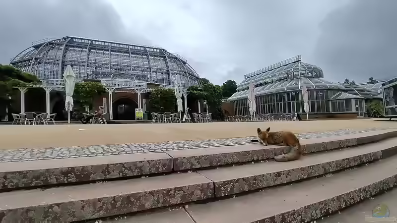 Der Botanische Garten Berlin: Ein Paradies in der Hauptstadt