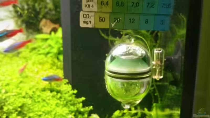 Der Co² Dauertest von Scaper (19)