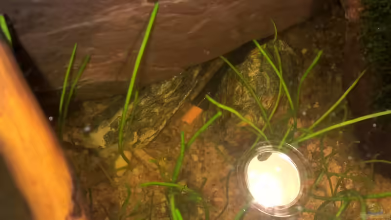 Der CO2 Ausströmer von Martin L. (16)