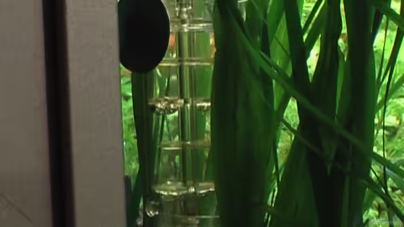 Der CO2-Reaktor von Dennerle von Marcus Heiser (12)