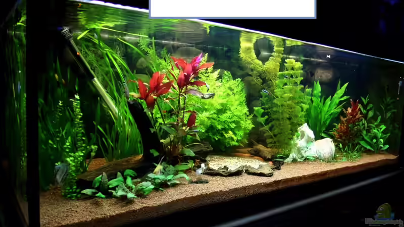 Der "Dachboden" der ***Villa Kunterbunt*** !