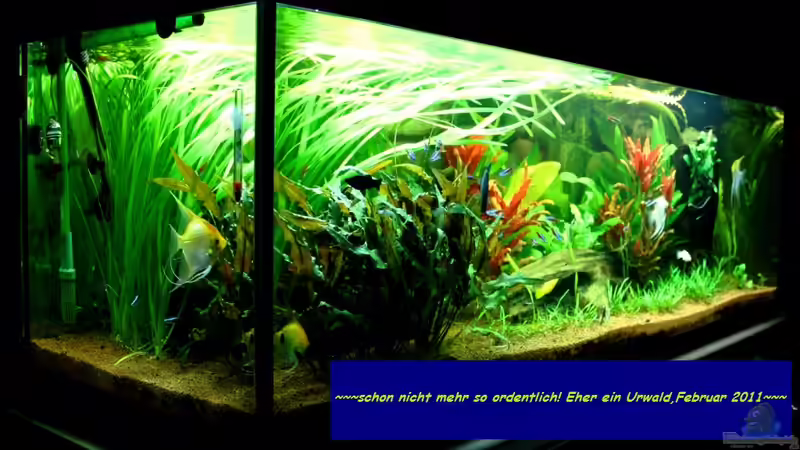 Der "Dachboden" der ***Villa Kunterbunt*** !