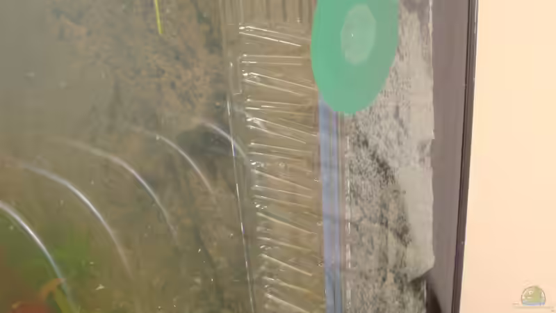 der Dennerle Flipper für becken bis 160 l (wird bei gelegenheit Ersetzt) von Poldi1981 (7)