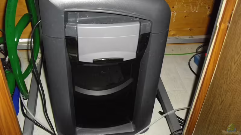 Der dicke Eheim von Yvonne Storms (14)