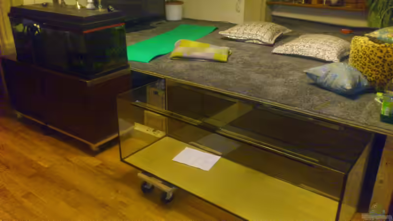 Der direkte Größenvergleich - ALT gegen NEU von derFalk (5)