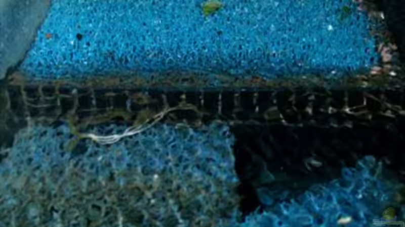 Der doppelte Schacht von Mikey (13)