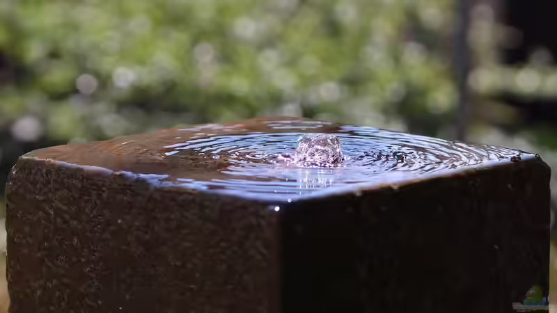 Der Drei-Zonen-Garten: Leitfaden für Planung, Gestaltung und Umsetzung