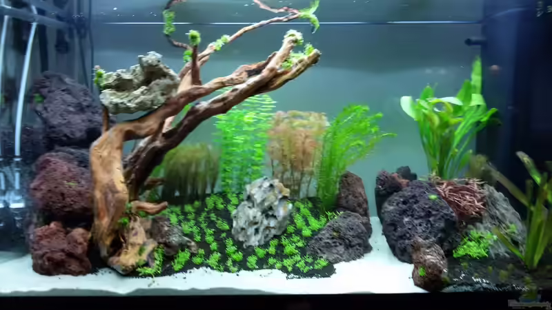 der dritte Tag nach Beckenstart von Sebastian Hartmann (61)