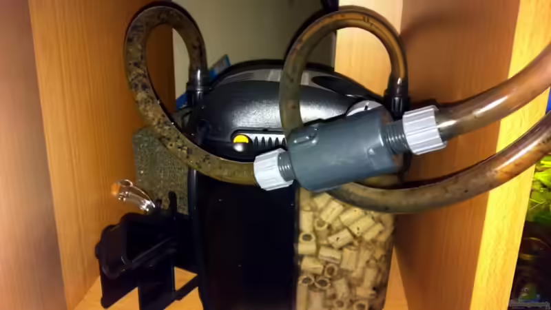 Der Eden 501 -Die Schläuche müssen regelmäßig gereinigt werden, da durch den von Caricciola (8)