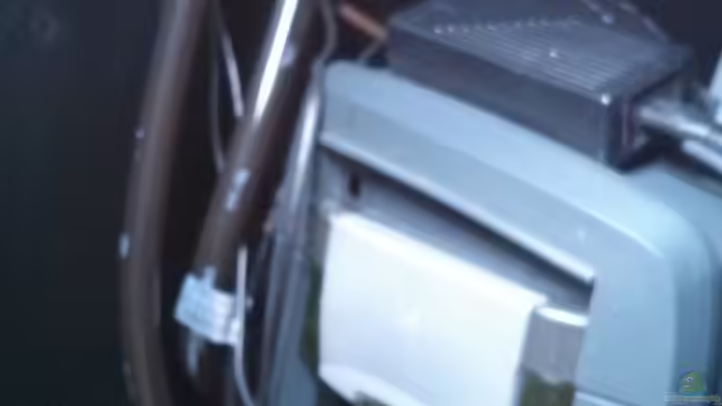 Der Eheim 2075 von AquaTobi90 (43)