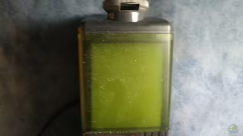 Der Eheim-Filter von Keathkliff (10)