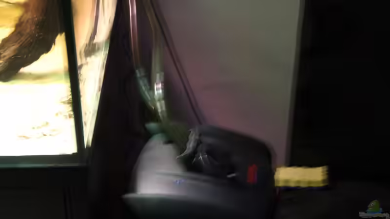 Der Eheim Professional 3 2180  von Diskusfreak26 (3)