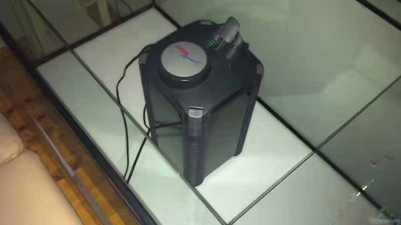 der Eheim von Mara_Rocks (12)