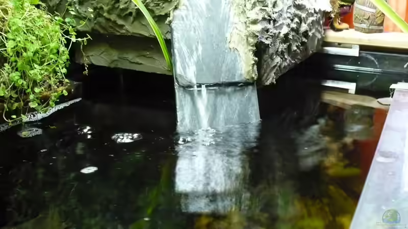 Der Einlauf im Aquarium vom Wasserfall von Werner Lehmann (24)