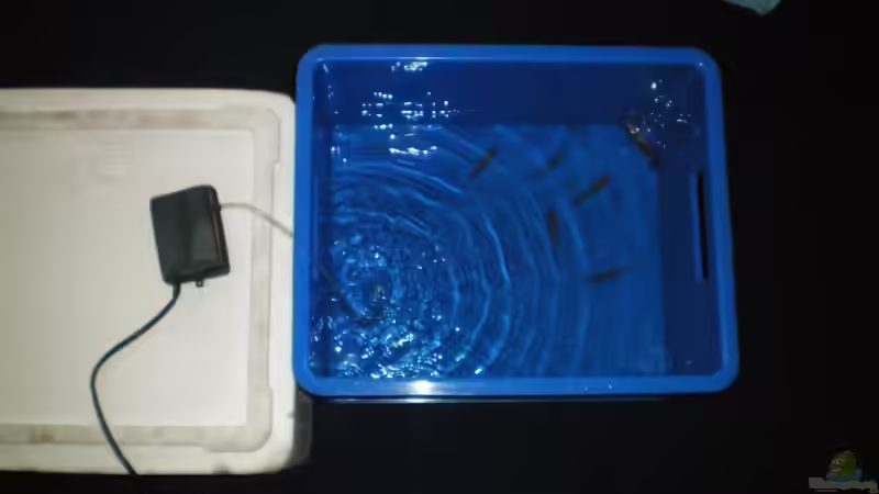 der Einzug von marco_0 (17)