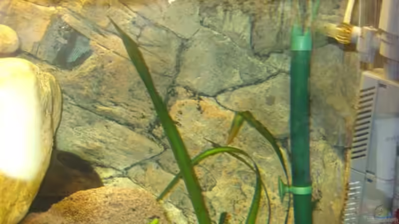 der Elektronisch geregelte  Heizstab von Esslinger (22)