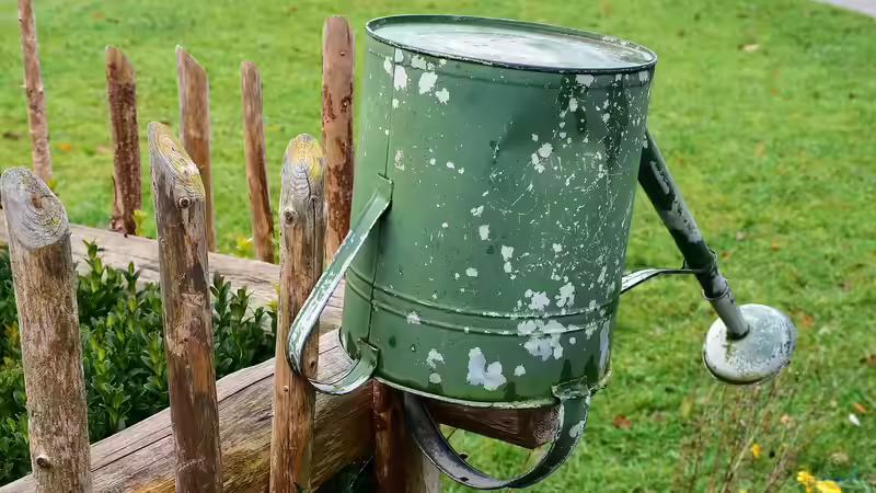 Der emissionsarme Garten - nachhaltig gärtnern mit Verantwortung und Zukunft