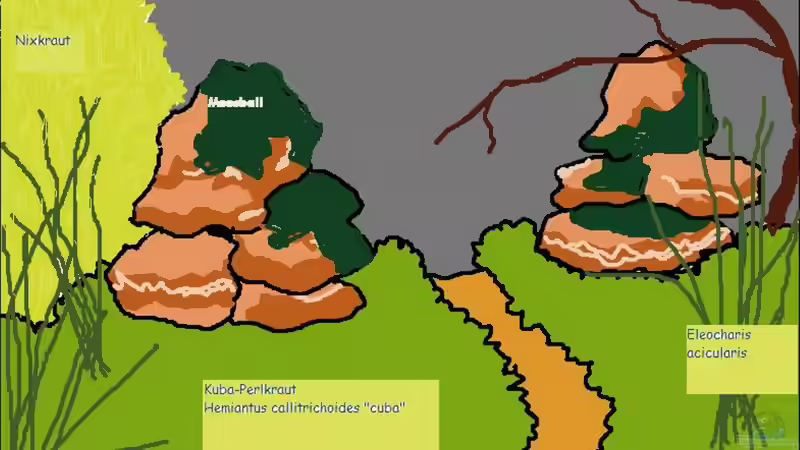 Der Entwurf von Caricciola (4)