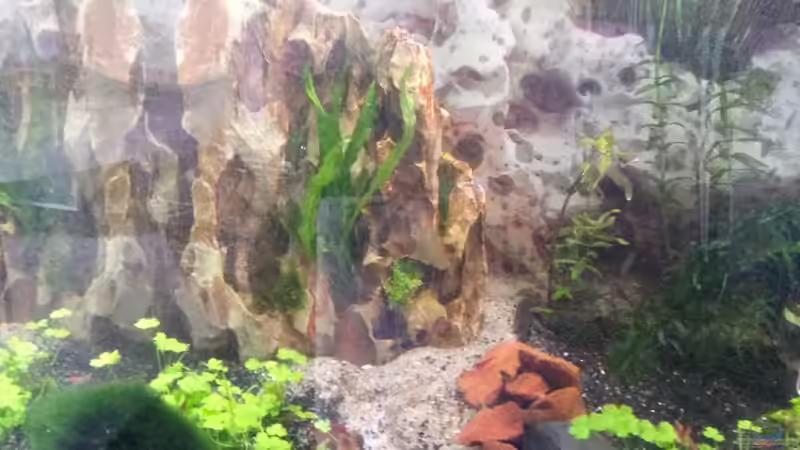 der erst Stein steht von Nano Sonny (5)