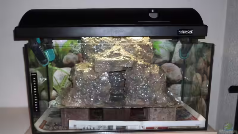 Der erste Anstrich in grau von Michael Boeck (11)