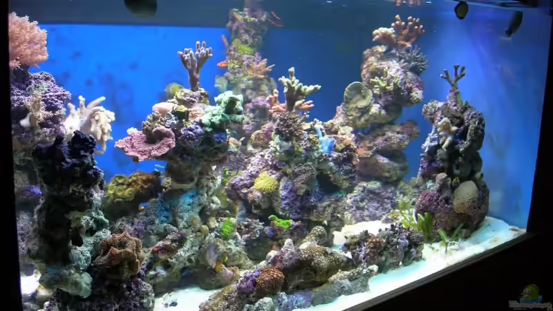 der erste Aufbau; noch fast nackte Säulen von Uwe Kerßenfischer (5)