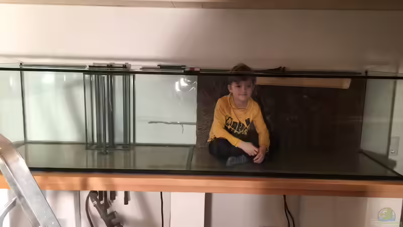 Der Erste Bewohner von Fallendum (7)