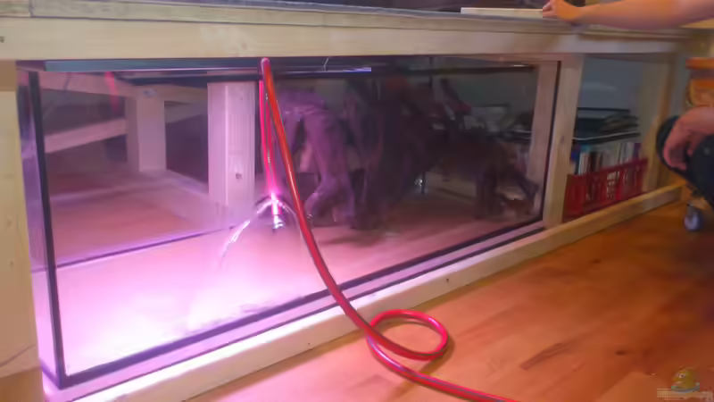 Der erste Dichtheitstest beginnt. von derFalk (6)