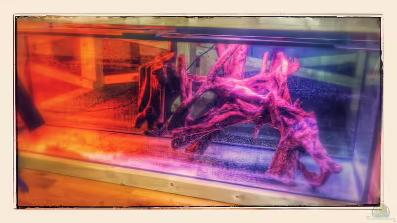 Der erste Dichtheitstest ist geschafft und alles hält. von derFalk (8)