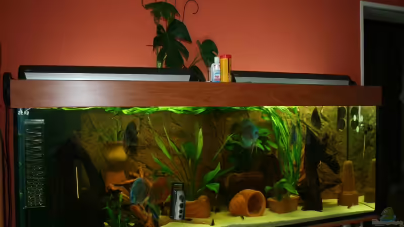 Der erste eindruck,einfach gro??!!!!!! von Poseidon (1)