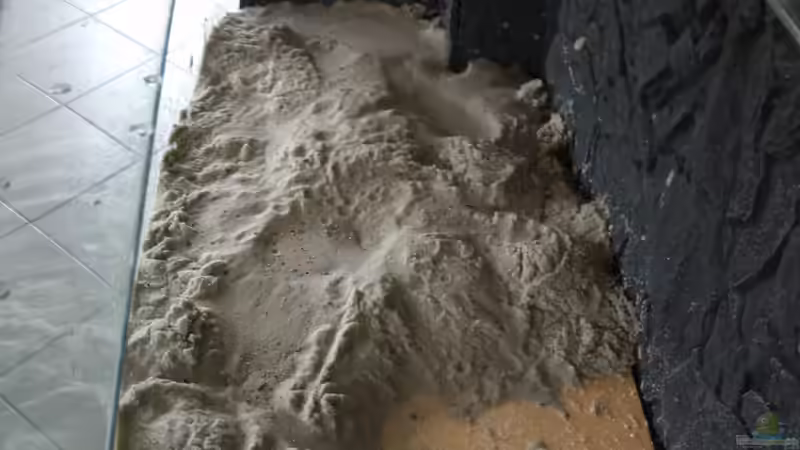 Der erste Sand von Pierre (5)