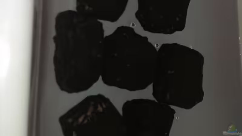 Der erste Schwung Steine beim Wässern  von Marcel R. (8)