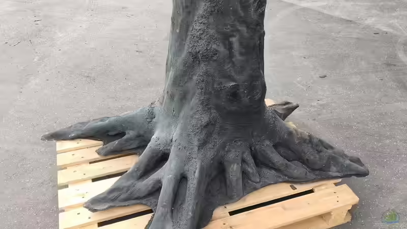 Der erste sinkbare Baumstumpf von Back To Nature speziell für mein Becken gemacht. von Florian Bandhauer (50)