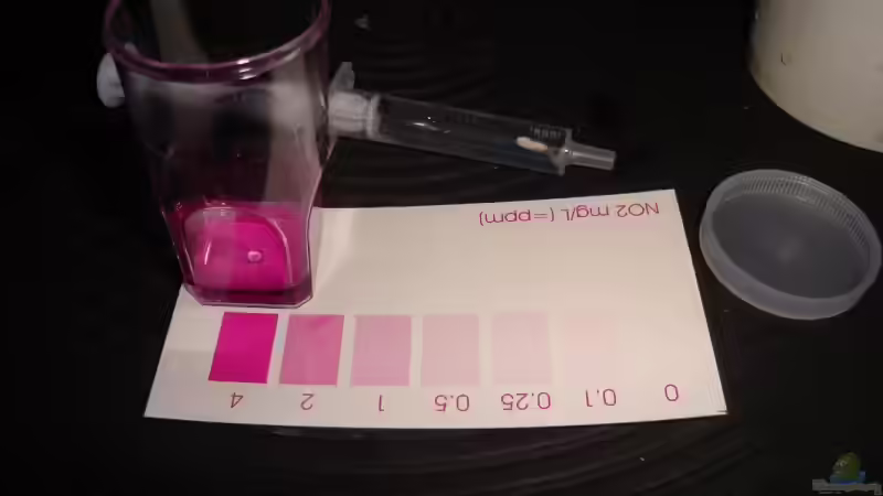 der erste Wassertest, NITRIT, nicht berauschend! von tigger69 (27)