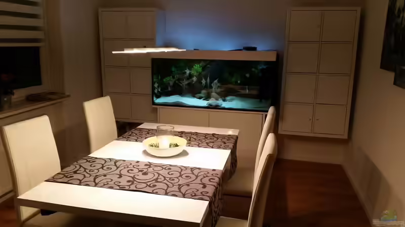 Der Essbereich von Amazonasbecken.eu (14)