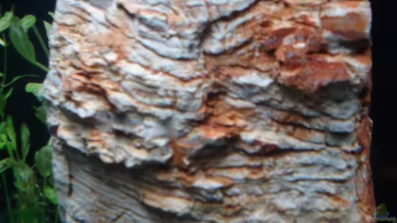 Der Fels in der Brandung. von David Weidenbacher (11)