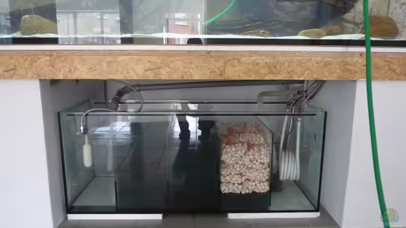 Der Filter, fehlt nur noch Wasser und... von aquazonica (8)