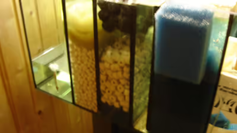 Der Filter, leider unscharf geworden von MaWin (4)