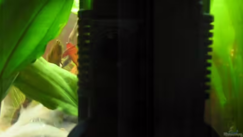 der Filter die zweite von julchen (10)