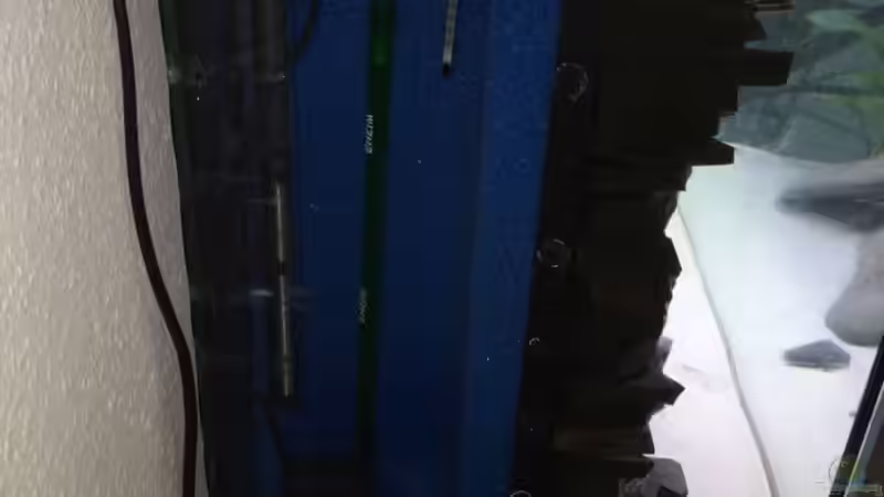 Der Filter von hinten von stroelly (7)