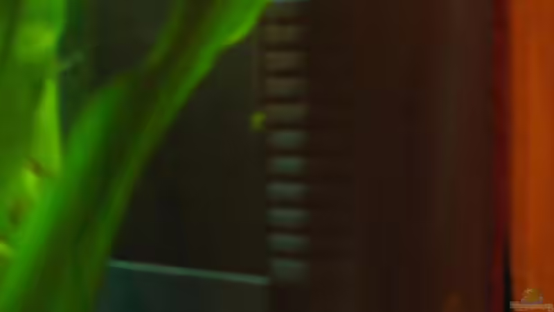 der Filter von julchen (9)