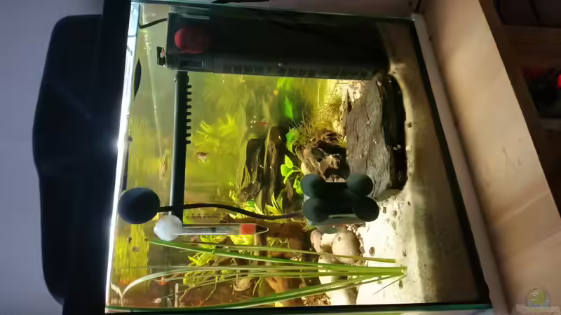 der Filter von SvenDerGroße (5)