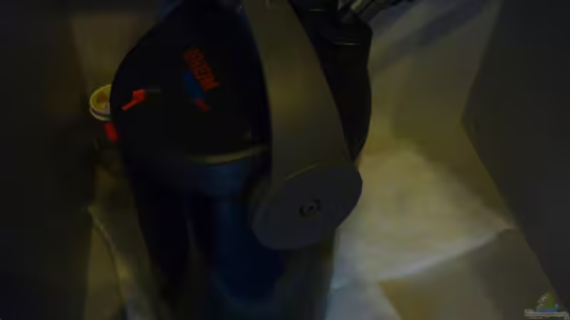 Der Filter von Tanga (7)